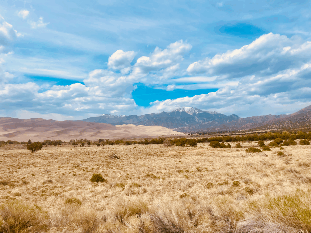sand dunes