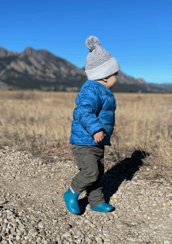 5 Days In The Denver Area With Little Kids