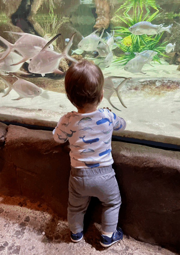 Be a Tourist in Your Hometown