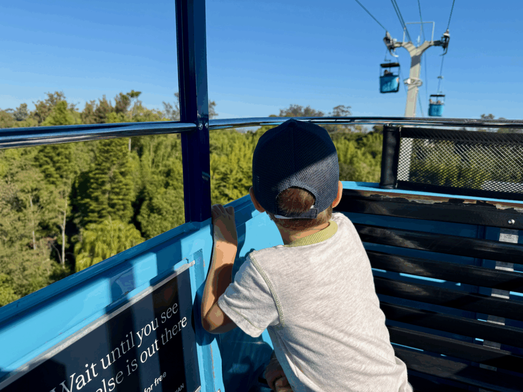 San Diego Zoo with kids