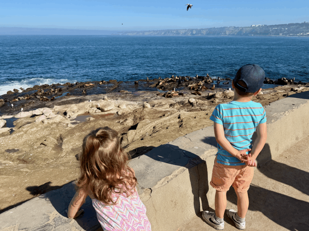 San Diego with kids sea lions